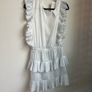TCEC silvery shimmery dress